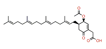 Eunicenone B